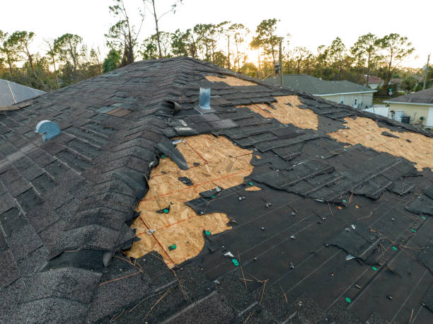 Asphalt Shingles Roofing in Los Fresnos, TX